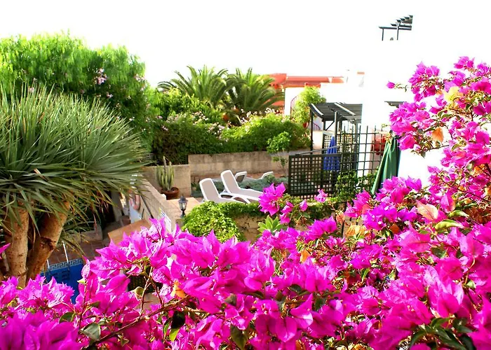 Casa San Miguel San Miguel de Abona